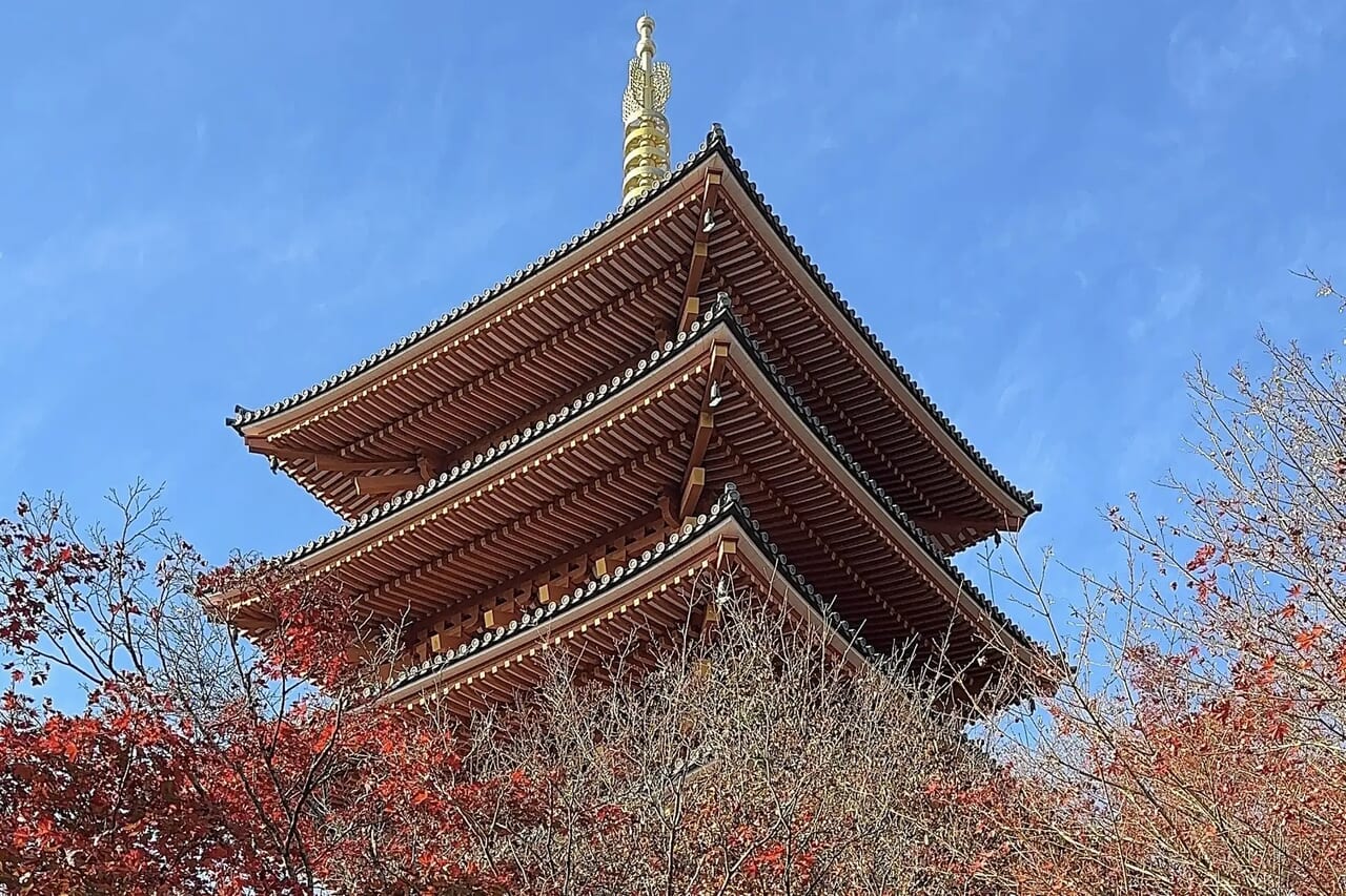 ドッグランヴィラⅡ